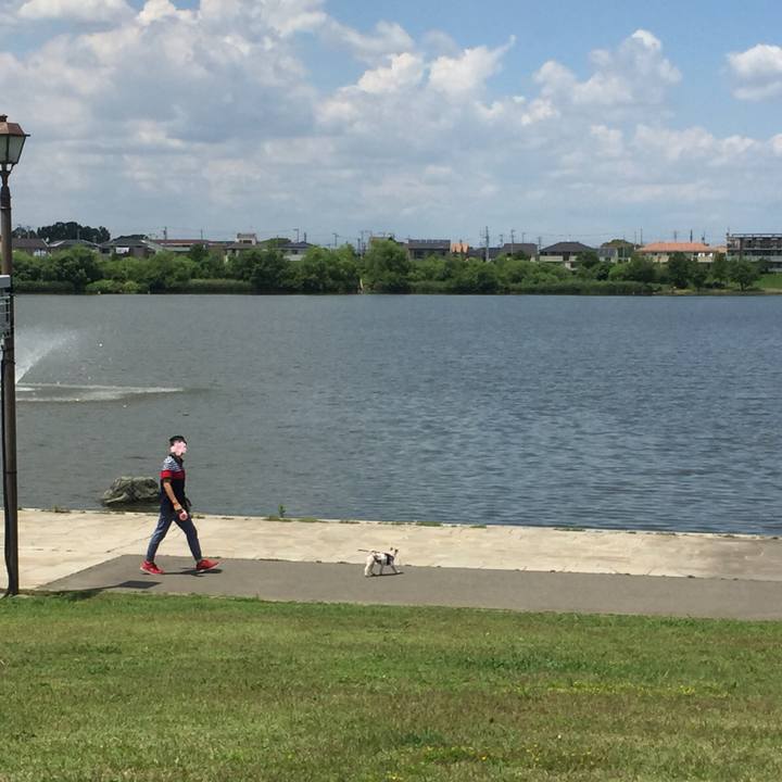 4a229764 48d4 4323 abc3 7289c1fc1f95 1527847789732