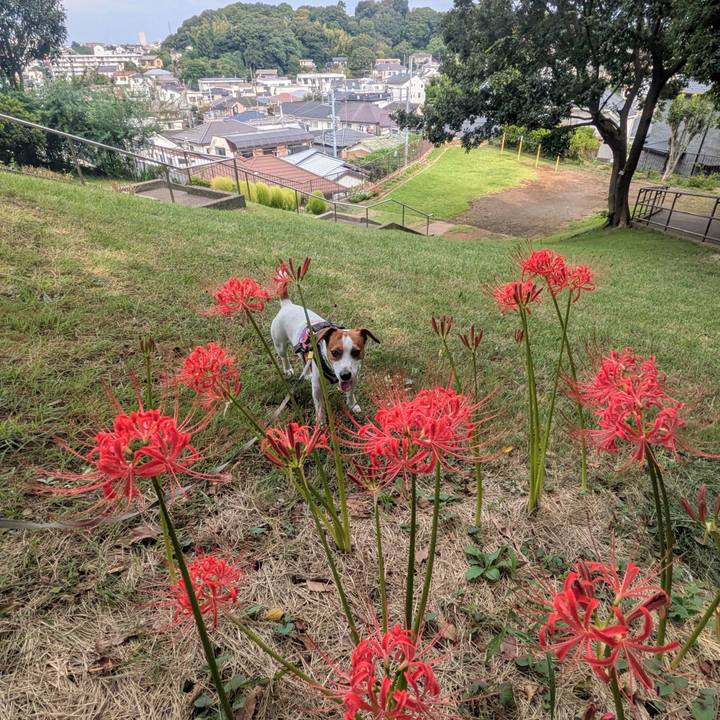 4a229a37 7e9b 4629 8edf c27eddc3d388 1727577246303