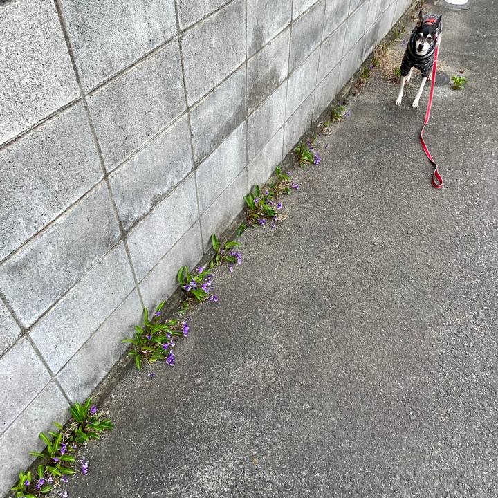 4a22b143 2304 4349 a9c1 5423998d25b4 1586055349311