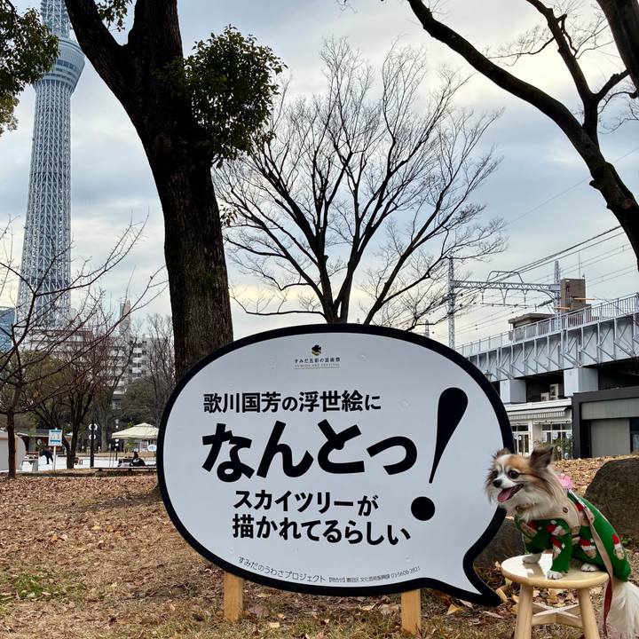 4a22c5c9 f291 42ac b186 53367a72742b 1766194204935