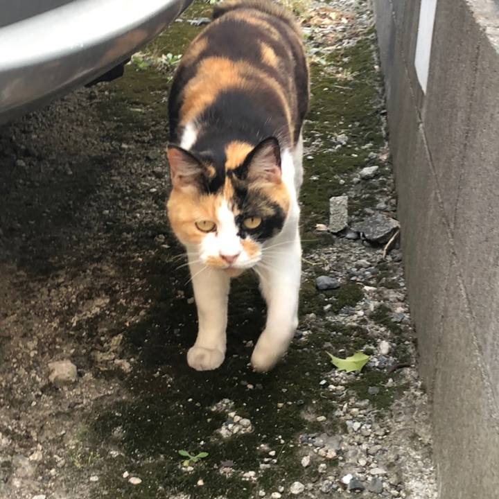 4a22f455 246a 4b4f 8450 253c0f1fcffe 1558694101563