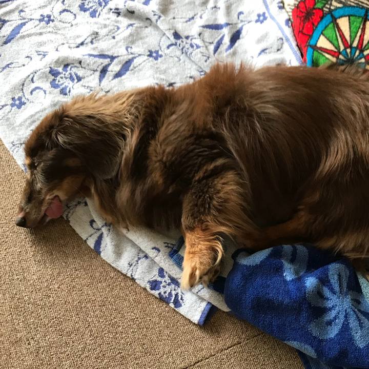 4a2380db 4b2f 40cc 9d75 aa7e87b6c1e6 1536369539711