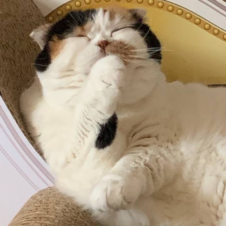 4a23b7cd 9a3a 42c8 b6d4 b61ad0eb897c 1568416544136