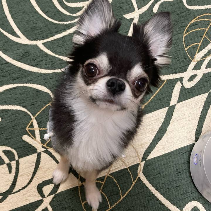 4a23b8d4 cb5d 477b 8a86 23e03cfb8e44 1645884172086