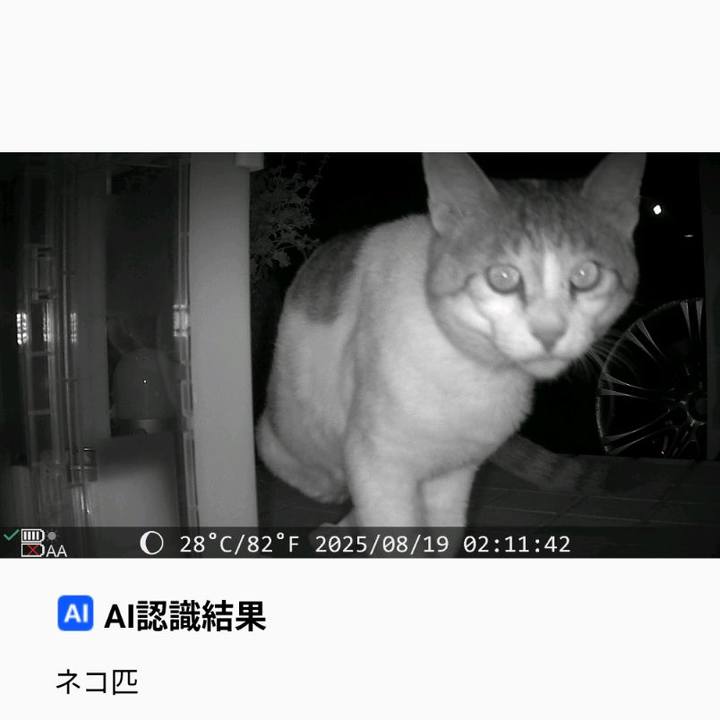 4a244a07 01f0 409e 82bc 39d0ef5f55d0 1755573224683