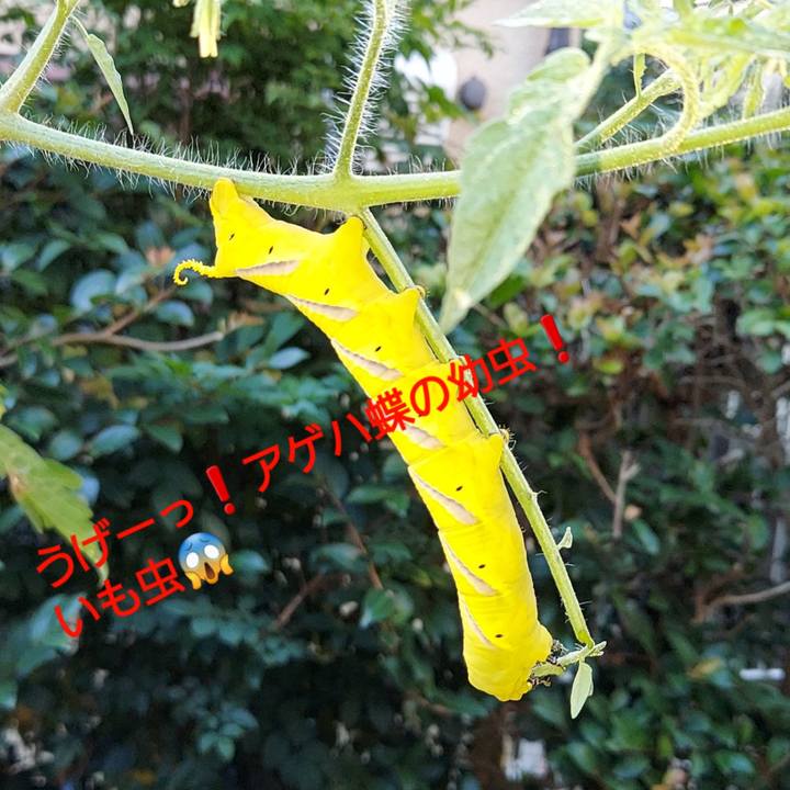 4a2480f3 f9fc 4143 bbc4 9f6d26e08ce6 1627250563329