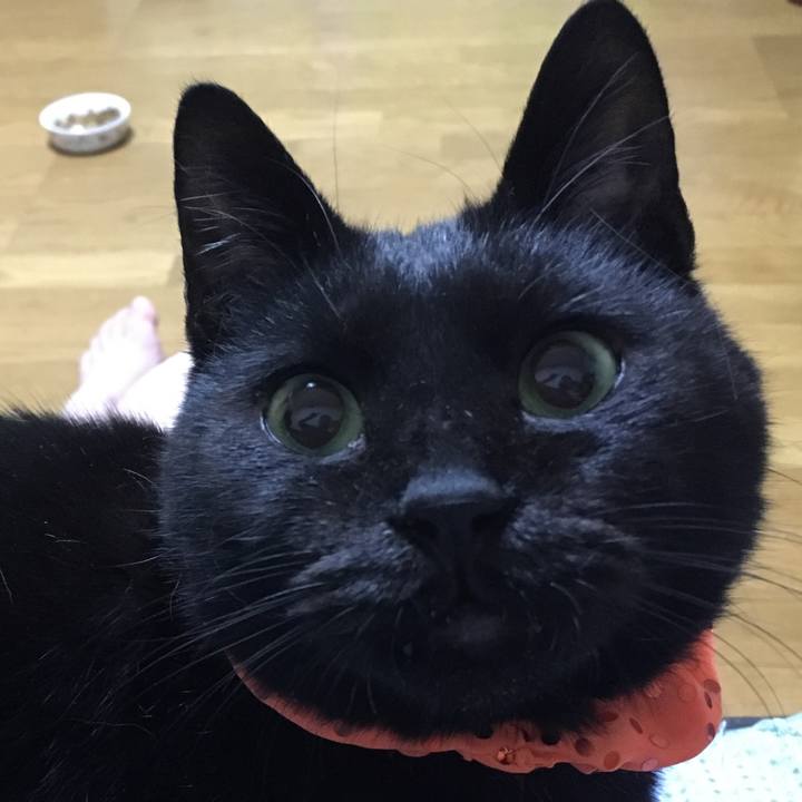 4a24e1eb b00e 4779 8cb7 b97b21574e24 1539171175674