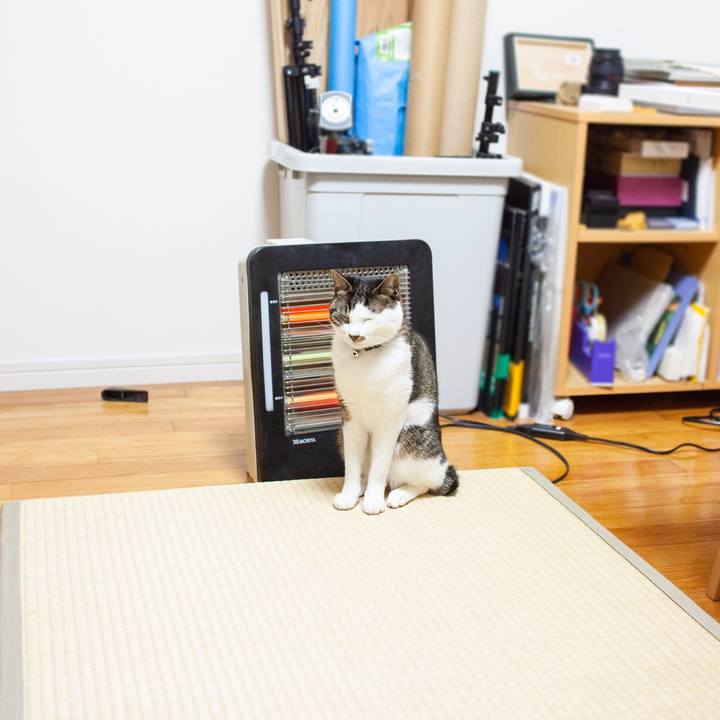 4a2515c5 3486 480f 911e a7ad4476d24b 1553266457812