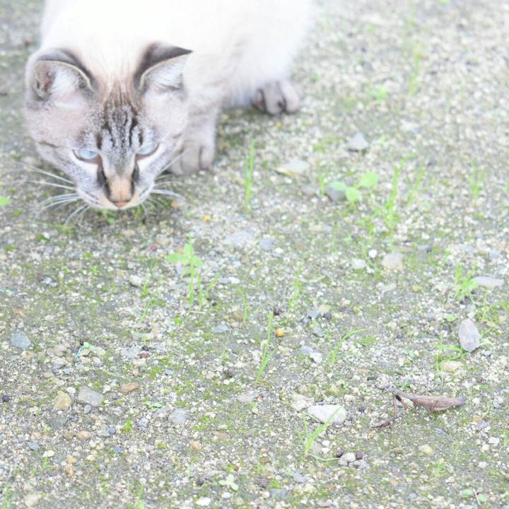 4a25204c 8ba2 4b28 ac6b c411c6b73a44 1509076940689