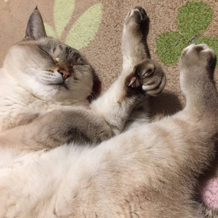 4a252729 d680 46c8 b335 4f8cd8435db2 1576325169472