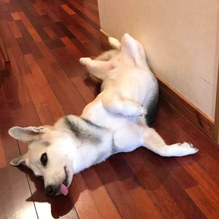 4a252b8c dc23 4d65 a0a1 bea04a0b1e83 1556175940831