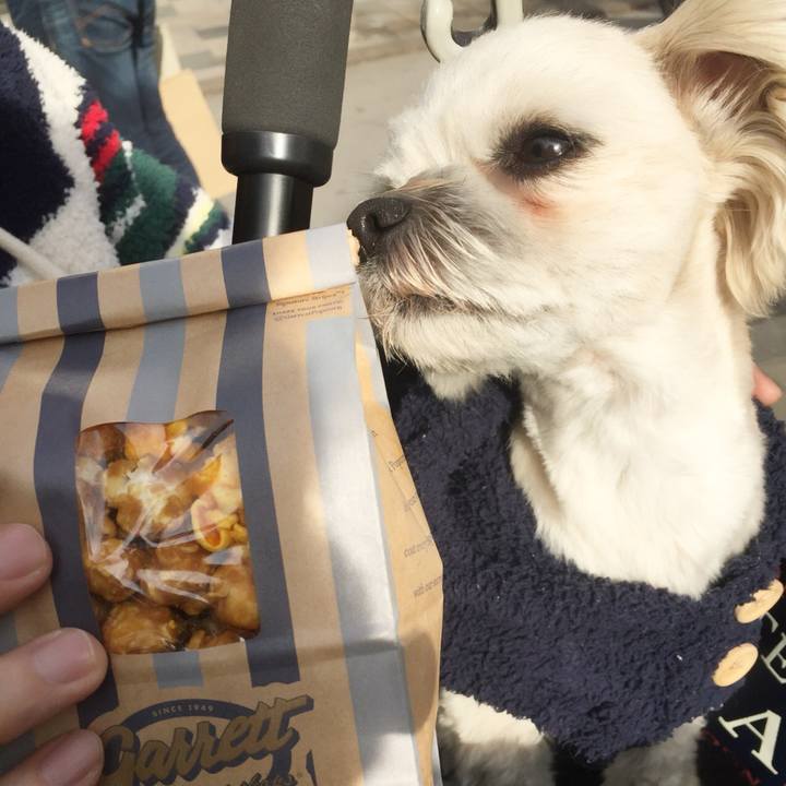 4a2538bc 77ee 47dd a320 10c0a18d0cf9 1520068320375