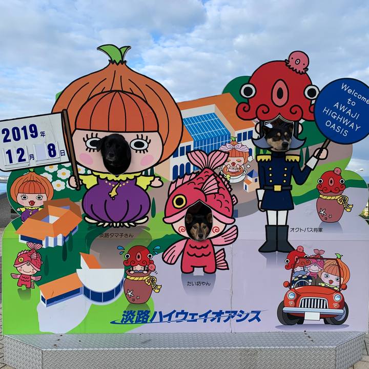 4a25a080 632e 4454 ad4c 052476c08512 1575796798302