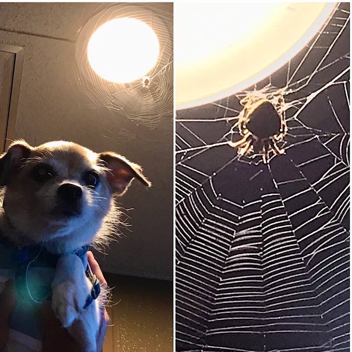 4a25d08f a629 412b bd62 f141f1aa4fc0 1662285923692