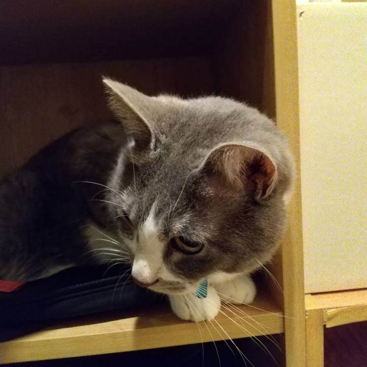 4a25d19f 2be5 4c63 9fb3 6ba0524578ef 1647553052314