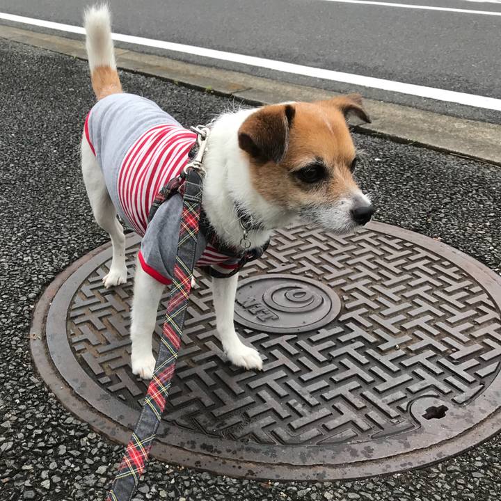 4a262d73 fb8b 4314 ad4e cb388514fe72 1526699909389