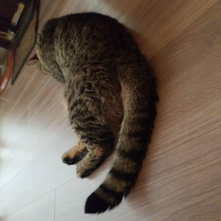 4a2654fa 8f44 45c5 859e 3a75dd4f2370 1561326426619