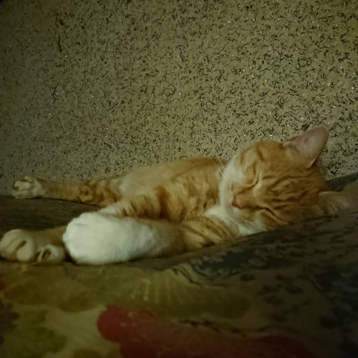 4a26555c 2974 49e1 9e22 89d412694d60 1606220769169