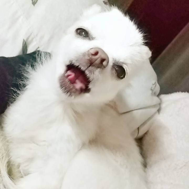 4a265564 a8f2 4d58 bef2 e550ff358b78 1582335031216