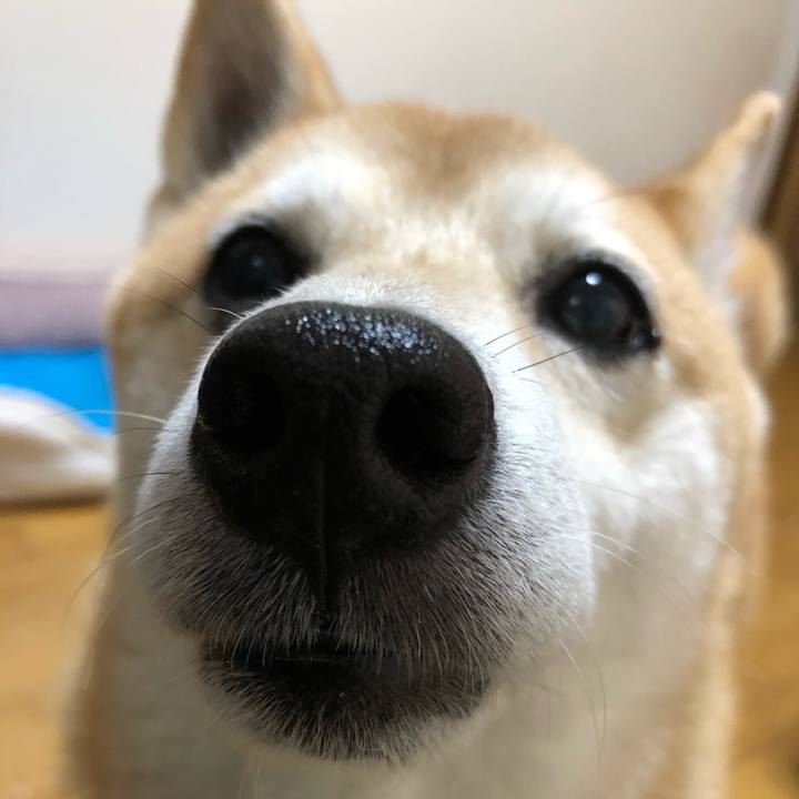 4a269eff d032 4a5e 9b6e f6677ed4b986 1599872888784