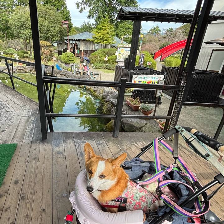 4a26d862 04da 492c 9922 f0fe1ff53e30 1760365104761