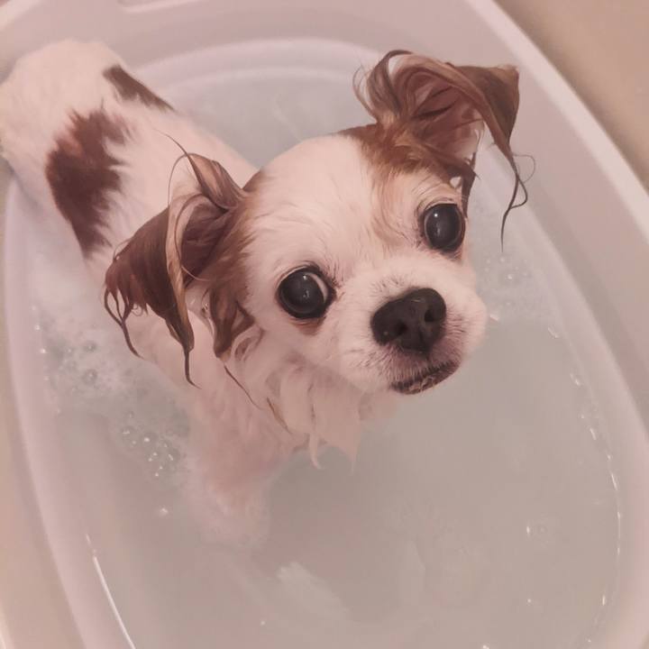 4a270f07 de8a 4dab 9ea5 0879d9e221c4 1661238481140