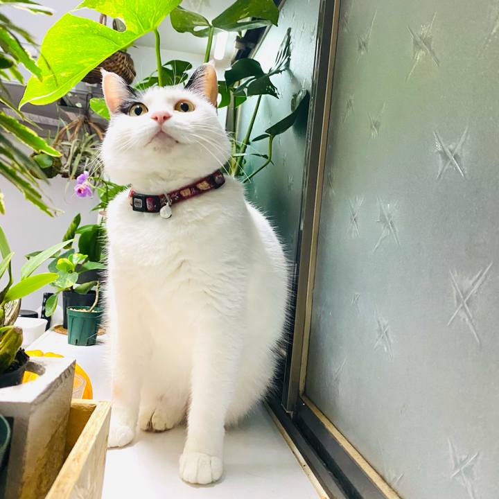 4a2720a8 4621 4fc4 9eaa 48d097e930f7 1683555328510