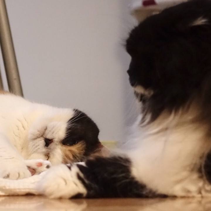 4a272177 9450 446a a8d6 4909b02df6bf 1531674043061