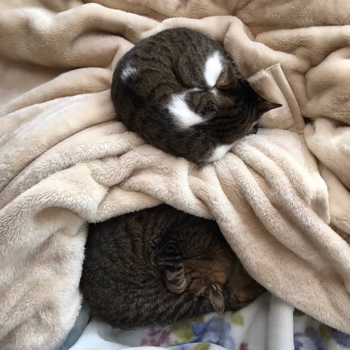 4a276ae9 e6f8 41e8 bec7 c73df7a55043 1519003935448