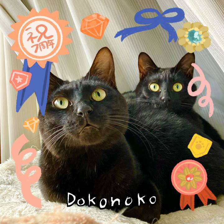 4a2799b8 85f4 4aa3 b417 f69f410b3524 1685973339358