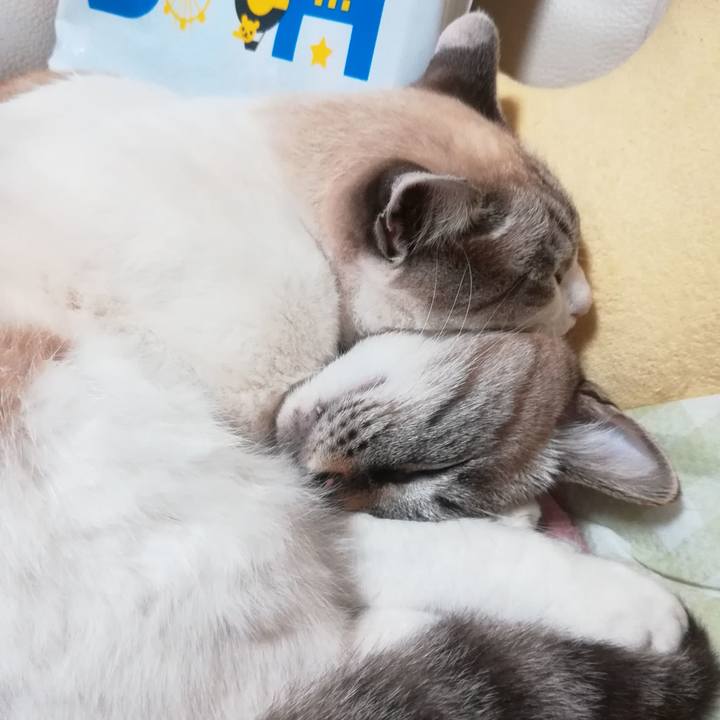 4a27c1e6 4375 44dd a061 cc400b977f60 1572785508338