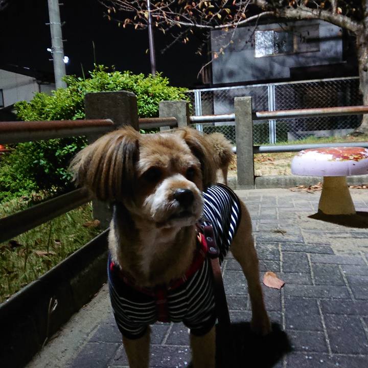 4a27cab2 2671 4892 8679 2f34febb82a6 1573813922745