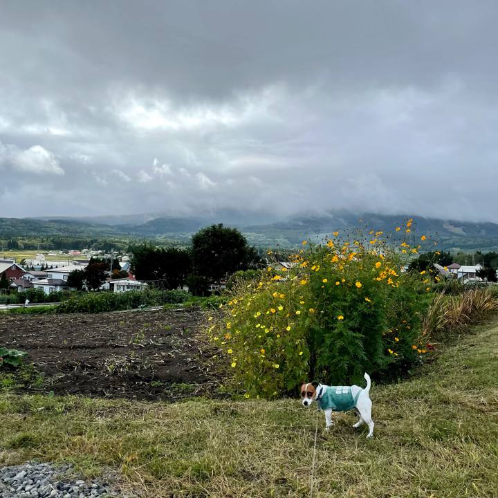 4a27cdb7 3b5e 44c1 88bb 3a32248e3533 1633507358940