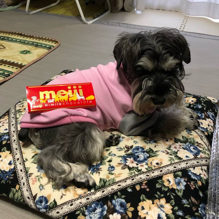 4a27d737 b326 4611 9133 c71ab8b07ea2 1582443627897