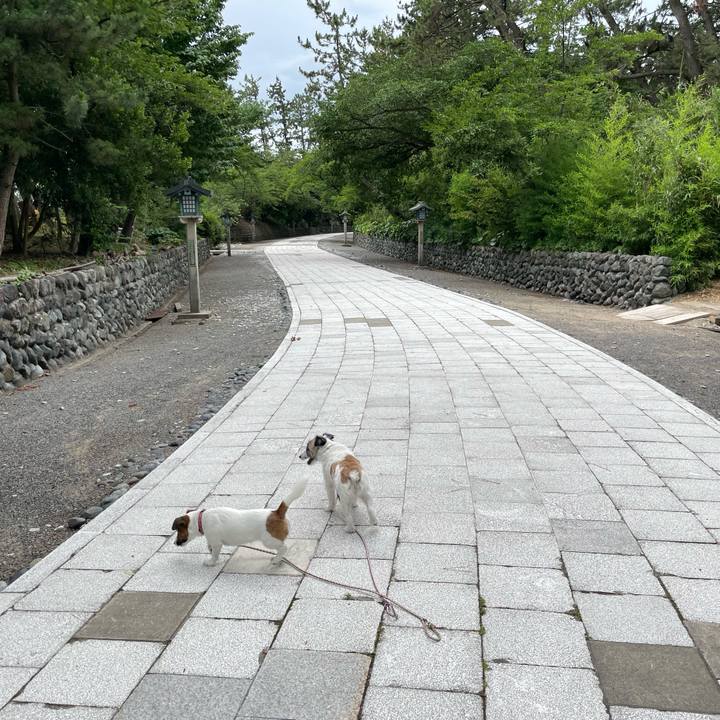 4a2803f3 2040 4e2f b15b 811108aedbd0 1657841790821