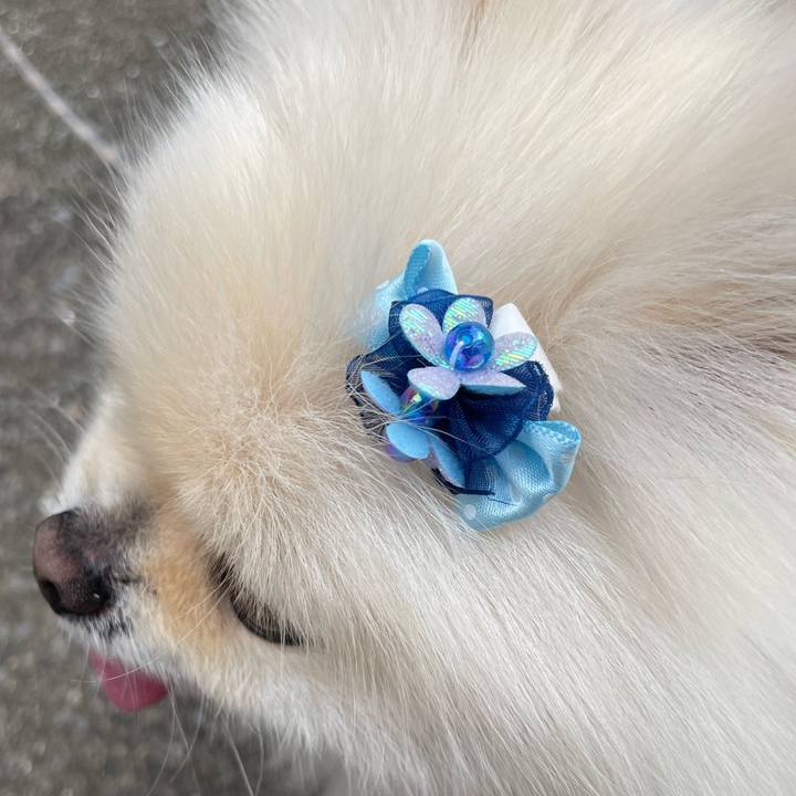 4a284309 a7be 47b9 a66a b4dd6d1f3619 1685594766224