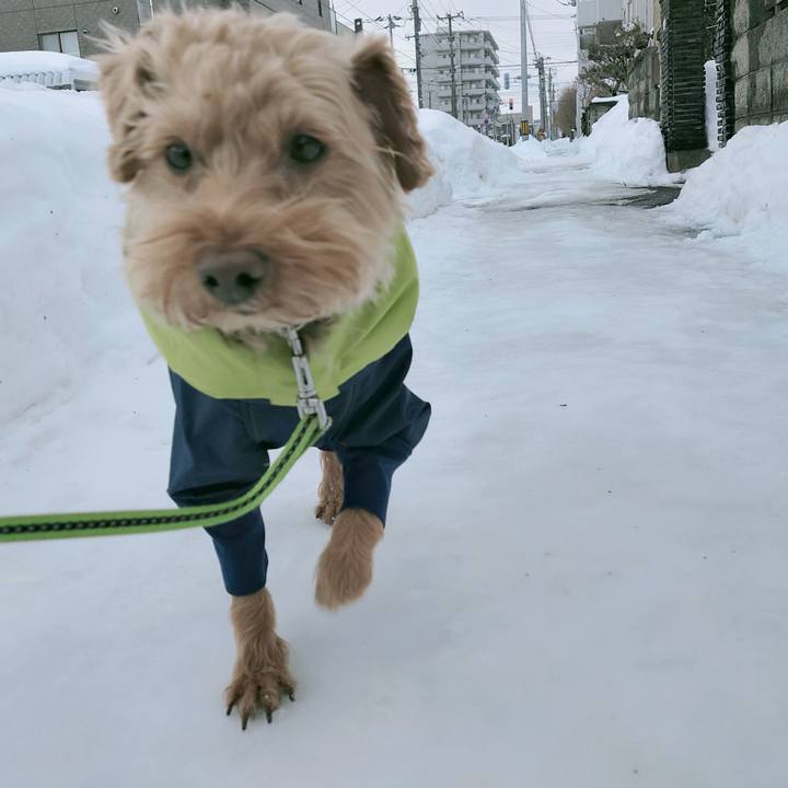 4a286473 60c0 48fb 8a62 bd31ca5ef9b6 1614900547568