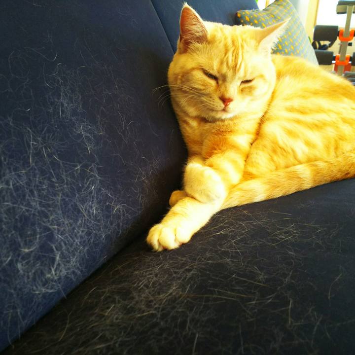 4a288999 0a60 447e adc1 1246cbcb3df7 1526358109234