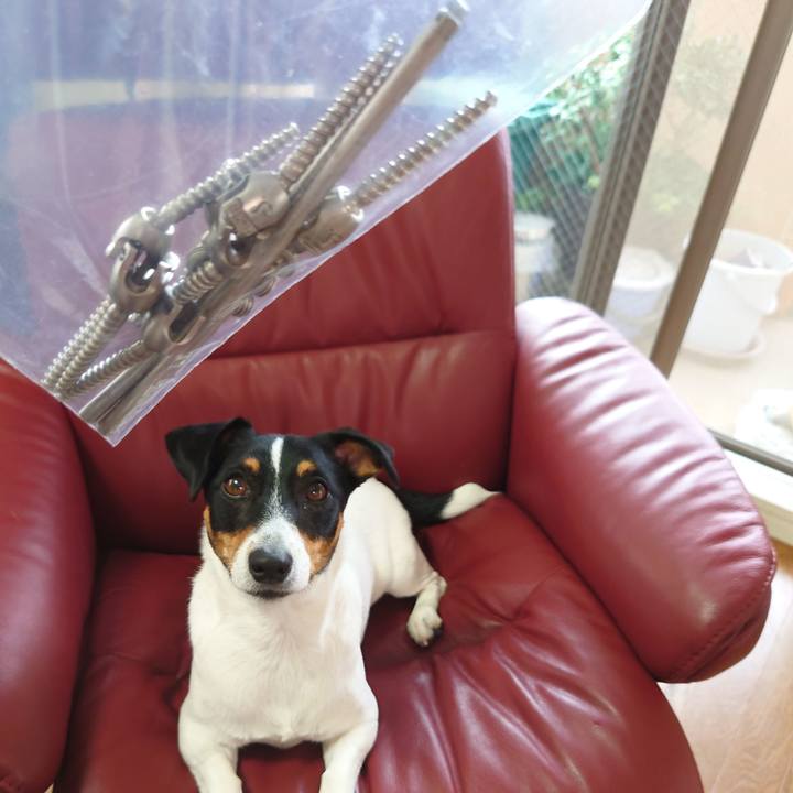 4a28a5b3 2169 4b80 9326 e680a9e64064 1664771646030