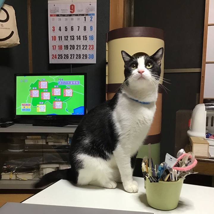 4a28b767 267a 4e3a 936e a5b29ba60b53 1694773652113