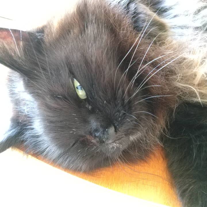 4a295edf 02c3 4caf 8da2 8ade4b05d27f 1620645390288