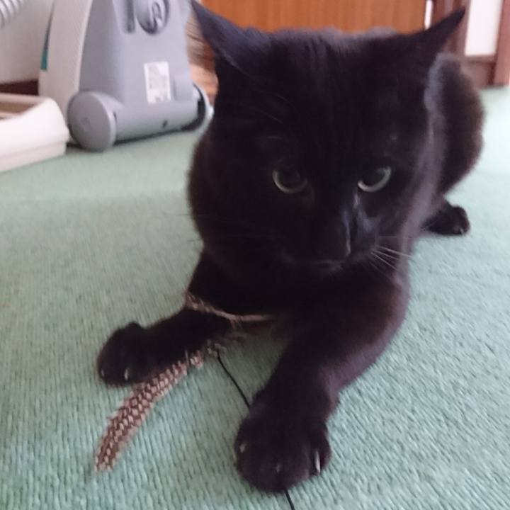 4a29727b a6c9 492a 84d2 7b71f7aac443 1577581322310