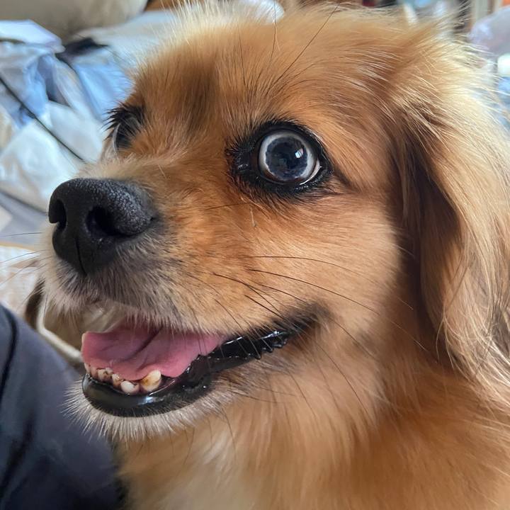 4a298386 977b 40c9 a674 90c53b223e43 1626039196516