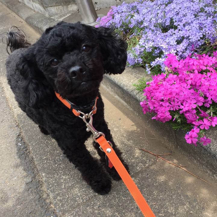 4a299a82 2787 4941 861c 84be9a0e737d 1523675748667