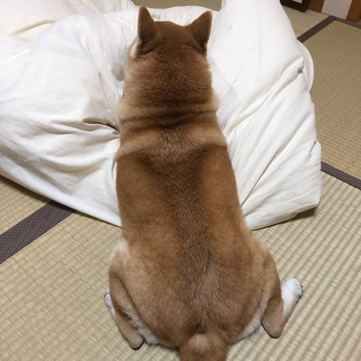 4a299dfb 6a61 48ce 8ff9 e07d54f4f697 1551918333932