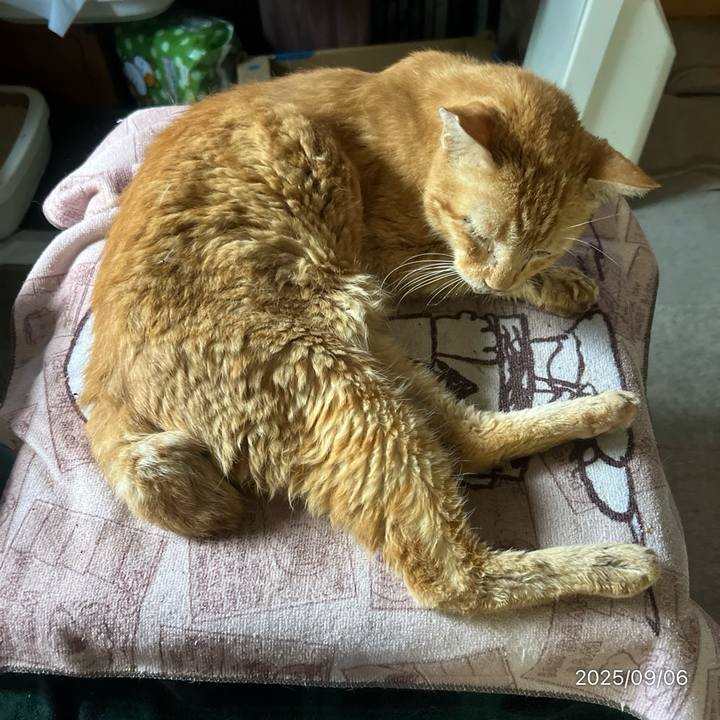 4a29c732 06c8 47af a255 bf2c0fecaa35 1757135989429