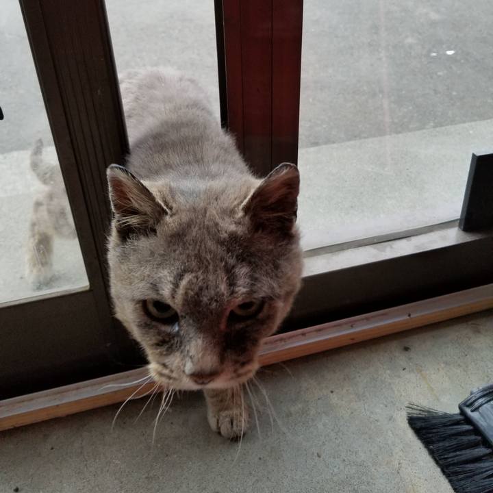 4a29d323 87e8 44a7 9c1f cc8cd67a719d 1526722157689