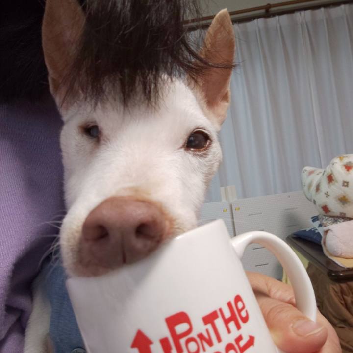 4a29de04 2580 40a9 83be 3c674dd252f3 1581550638274