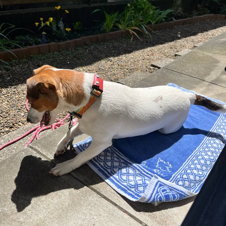 4a2a3b34 05f4 4e51 84c5 4acebb0926dc 1714052232448