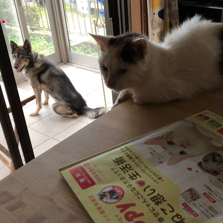 4a2a4094 27e2 4cda b81a 540590d11131 1536491233944